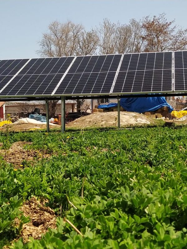 feko solar